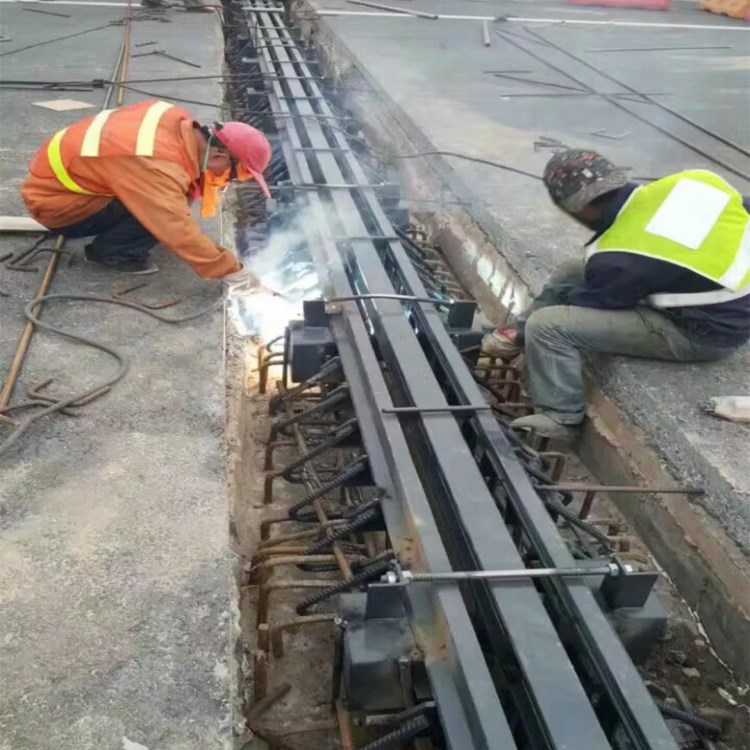 00000000000.jpg 00000000000.jpg